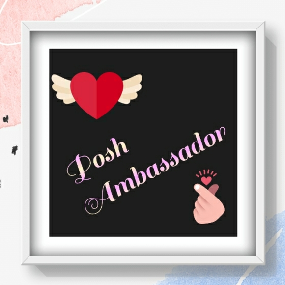 Posh Ambassador - Picture 1 of 1